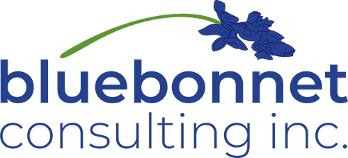 Bluebonnet Consulting Inc.